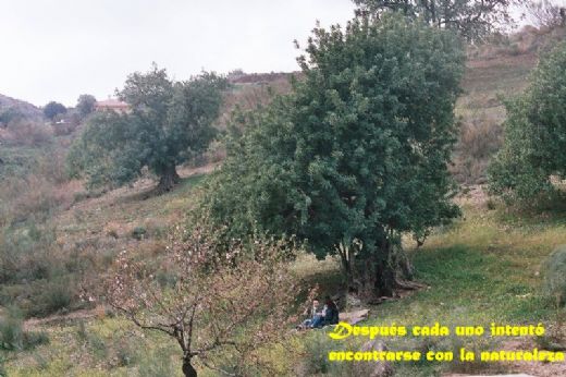 /Archivos/Fotos/45/Encuentro Los Gamez/Foto05Encuentro Los Gamez.jpg